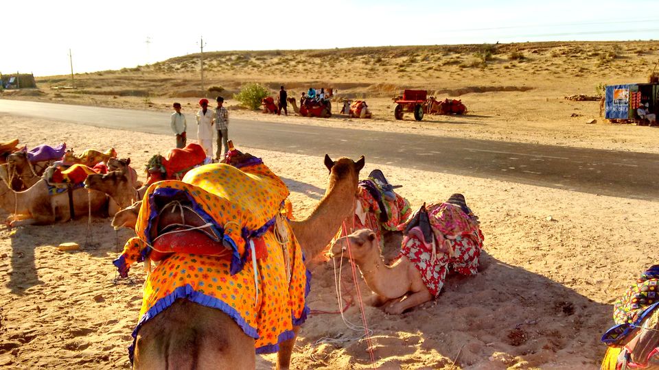 Photo of Jaisalmer, The Golden Town In The Thar Desert, Rajasthan 21/25 by Amrita C