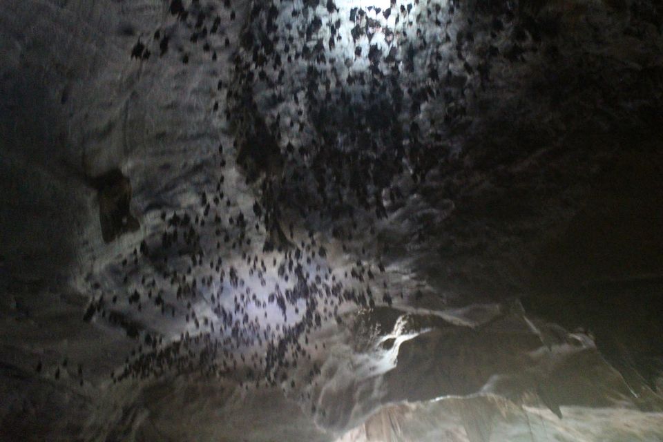 Photo of Langkawi - Get Lost in Nature! 43/74 by Mohit Agarwal