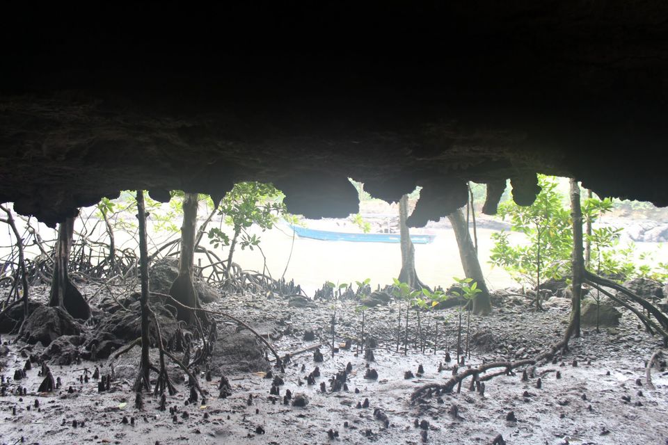 Photo of Langkawi - Get Lost in Nature! 42/74 by Mohit Agarwal