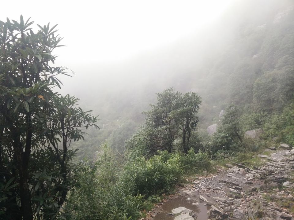 Photo of Tryst with the Dhauladhars: The first glimpse 35/39 by Subi Das