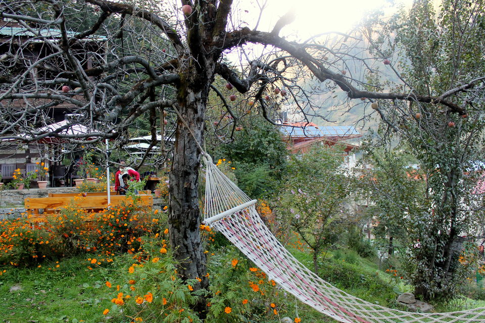 Photo of Manali- Beauty of hills, snow and greens. 19/20 by anila