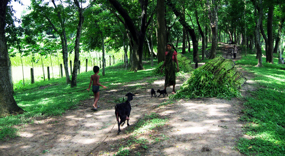 Photo of The 2500-year-old lost city of Bengal 13/14 by The Compulsive Traveller