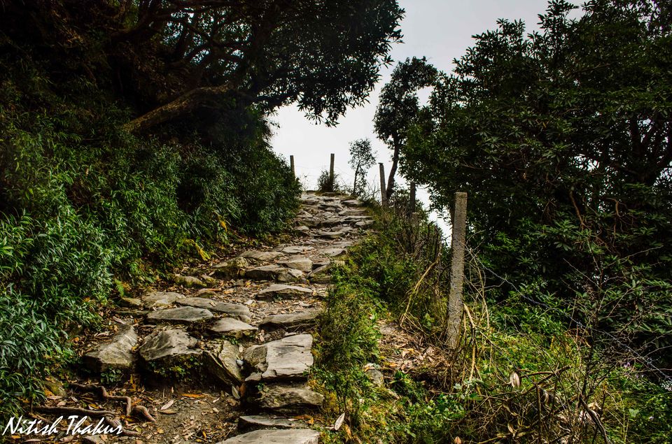Photo of Like walking through a Tolkien's Novel: A trek to Triund Hilltop 24/35 by Nitish Thakur