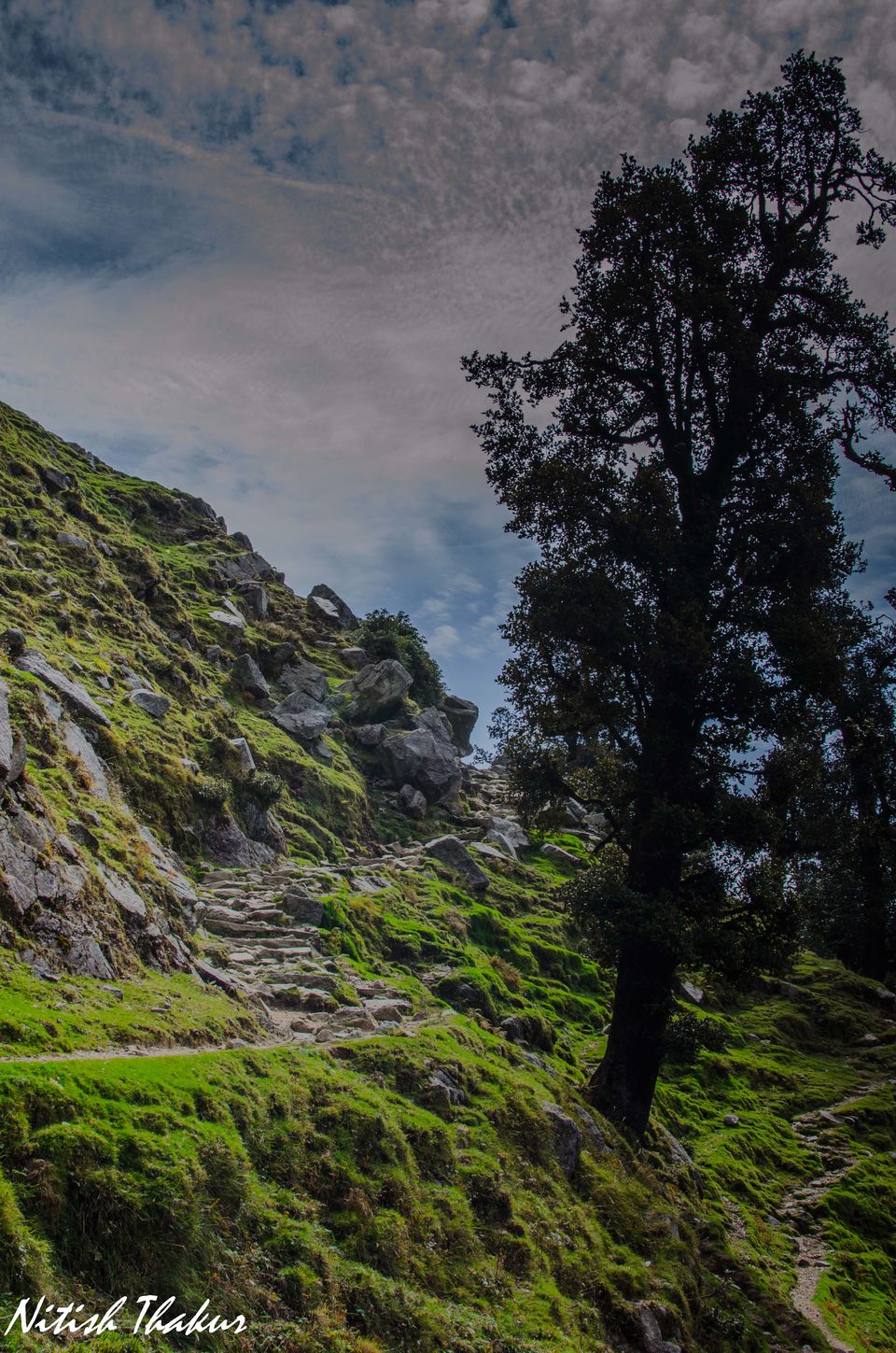 Photo of Like walking through a Tolkien's Novel: A trek to Triund Hilltop 34/35 by Nitish Thakur