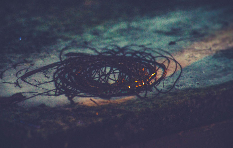 Photo of The Ice Cream Fest is the best way to end Delhi's Summer 11/15 by Sreshti Verma