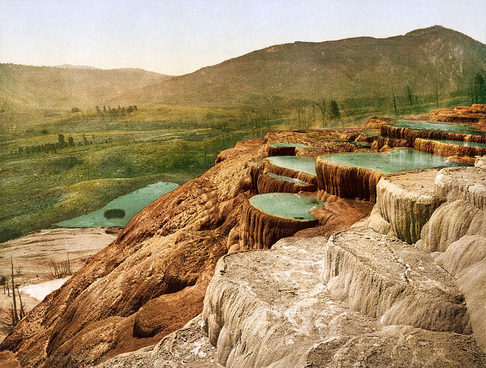 Photo of 5 Best Destinations For Safari Vacations 3/10 by Adyasha Dash (The Wandering Mind)