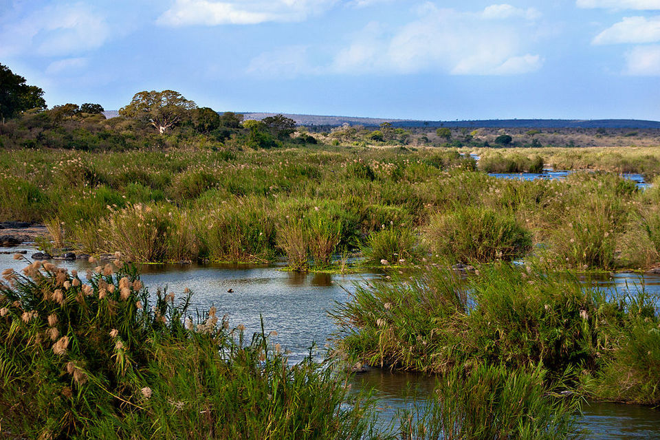 Photo of 5 Best Destinations For Safari Vacations 8/10 by Adyasha Dash (The Wandering Mind)