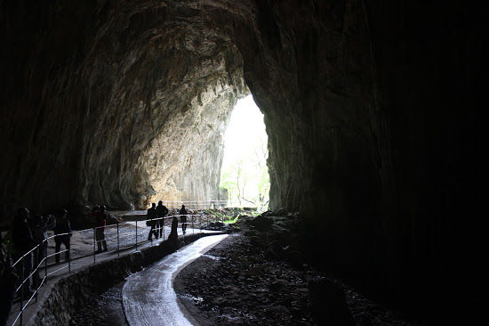Photo of Slovenia - A hidden gem! 25/30 by Anushree Maheshwari