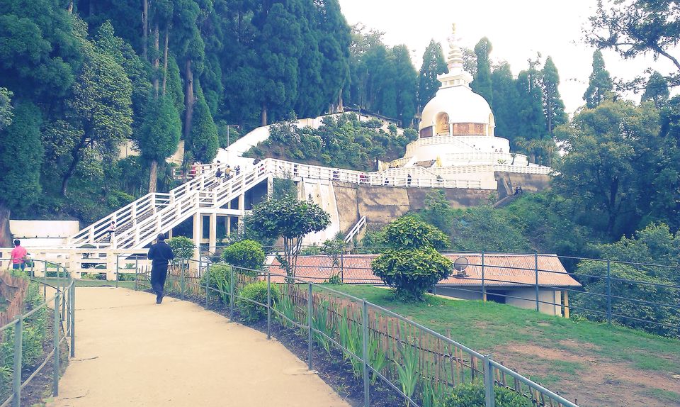 Photo of A solo female traveller in the heaven of Sikkim and Darjeeling 13/14 by Upasana Jaiswal