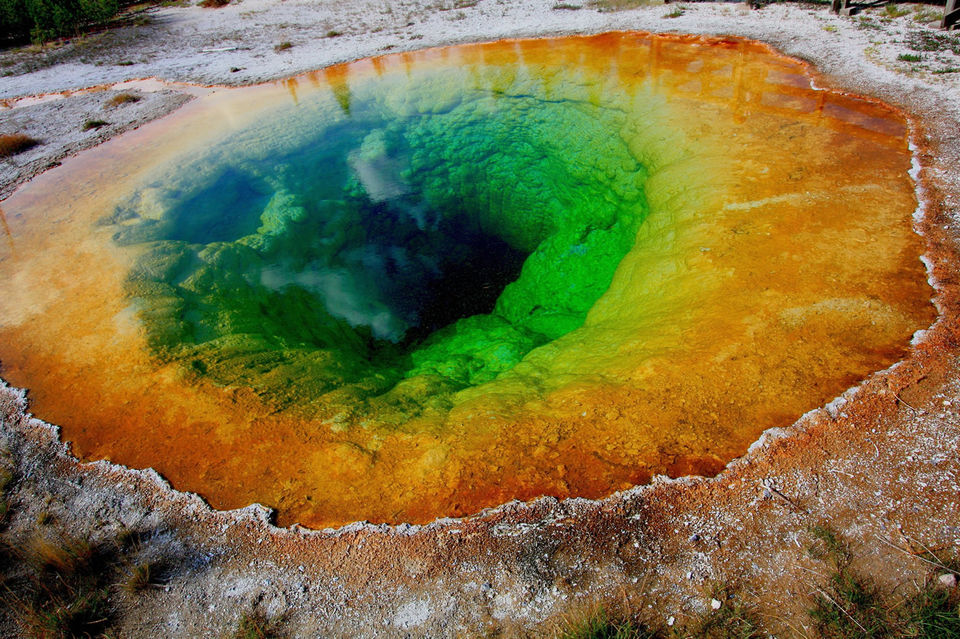 Photo of "Dig In" Deep 4/9 by chix on board