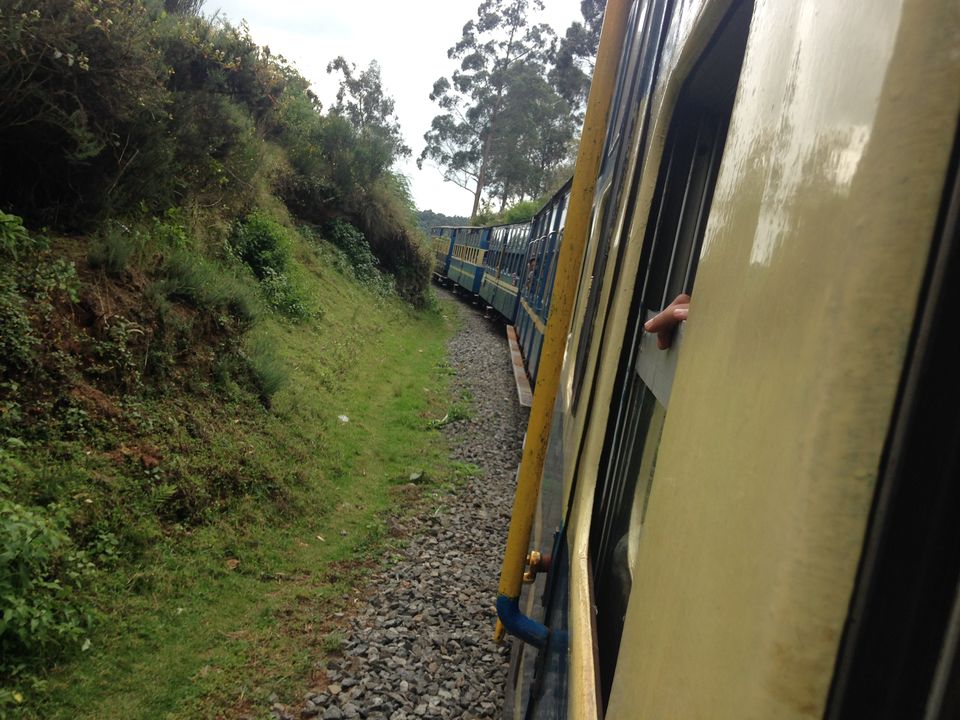 Photo of Love in Wellington 18/18 by Kamal Tanwani