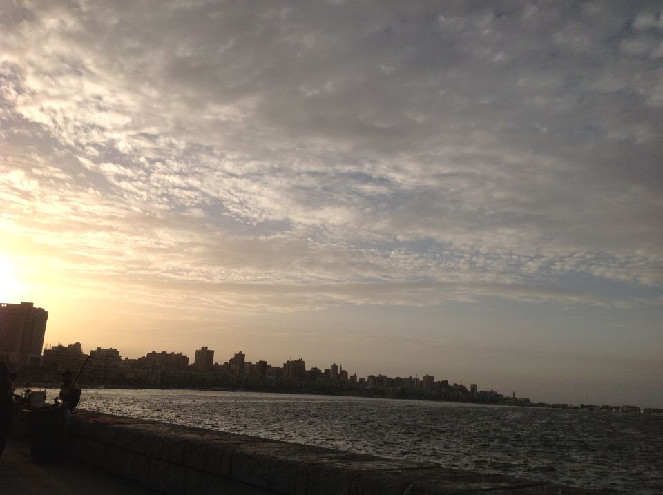 Photo of Egypt Diaries-A time machine travel 47/55 by Trisha Chatterjee