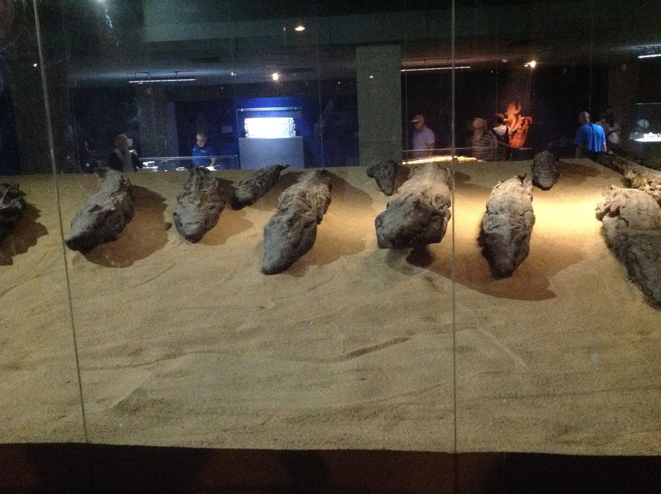 Photo of Egypt Diaries-A time machine travel 52/55 by Trisha Chatterjee