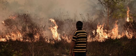 Photo of Why Indonesia Pissed Me Off 1/3 by Adyasha Dash (The Wandering Mind)