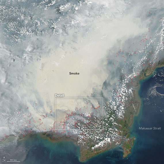 Photo of Why Indonesia Pissed Me Off 3/3 by Adyasha Dash (The Wandering Mind)