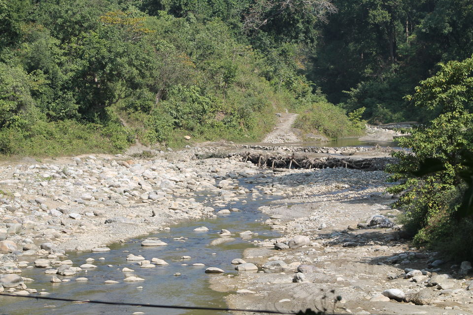 Photo of Exploring the Wilderness Jim Corbett National Park has to Offer | Trip Plan | Details 16/42 by Shayaan Ahmad Noori