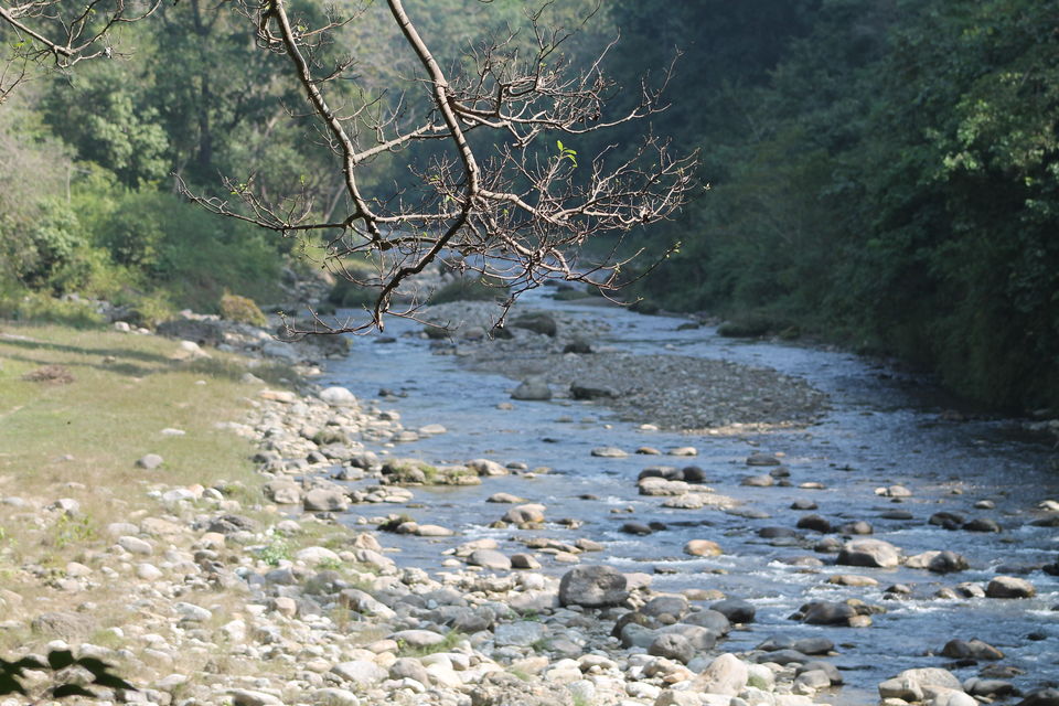 Photo of Exploring the Wilderness Jim Corbett National Park has to Offer | Trip Plan | Details 19/42 by Shayaan Ahmad Noori