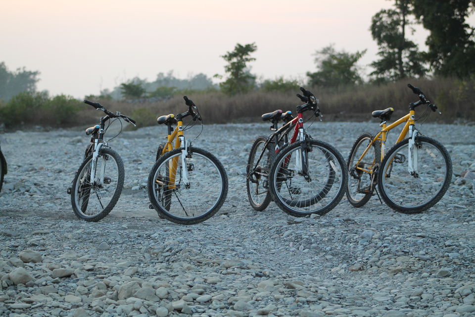 Photo of Exploring the Wilderness Jim Corbett National Park has to Offer | Trip Plan | Details 24/42 by Shayaan Ahmad Noori