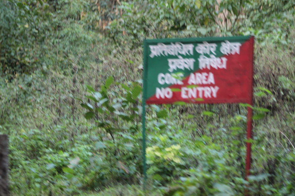 Photo of Exploring the Wilderness Jim Corbett National Park has to Offer | Trip Plan | Details 29/42 by Shayaan Ahmad Noori