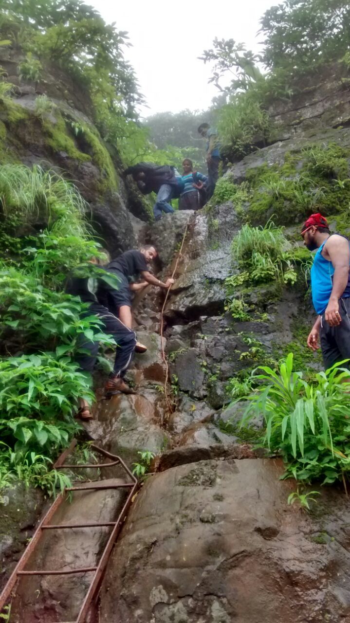 Photo of Night Trek to Mahuli Fort 7/8 by Lakshman