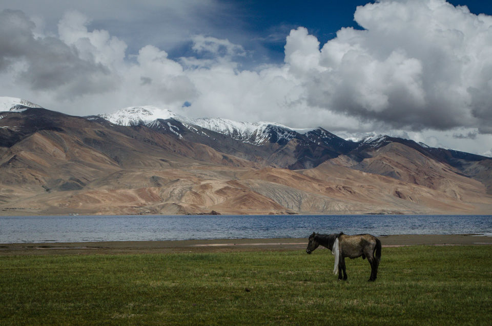 Photo of Bullet Points (part I) – Kanyakumari to Kashmir – Reaching Leh 20/23 by Bhishma Choudhary