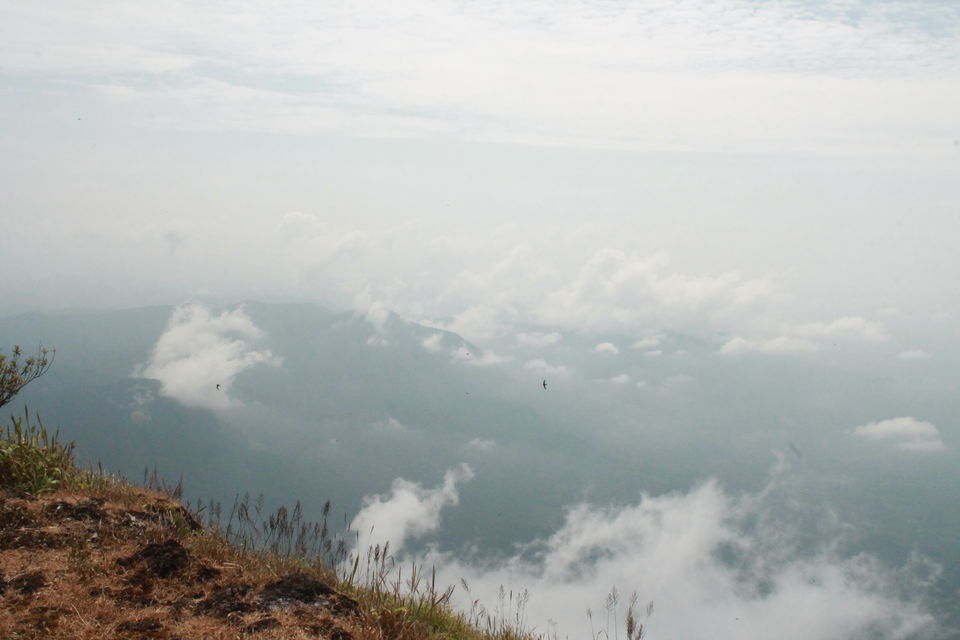 Photo of Kodachadri - Offroading in Tata Safari Storme 4X4 30/38 by Santhosh Kumar Gaikwad