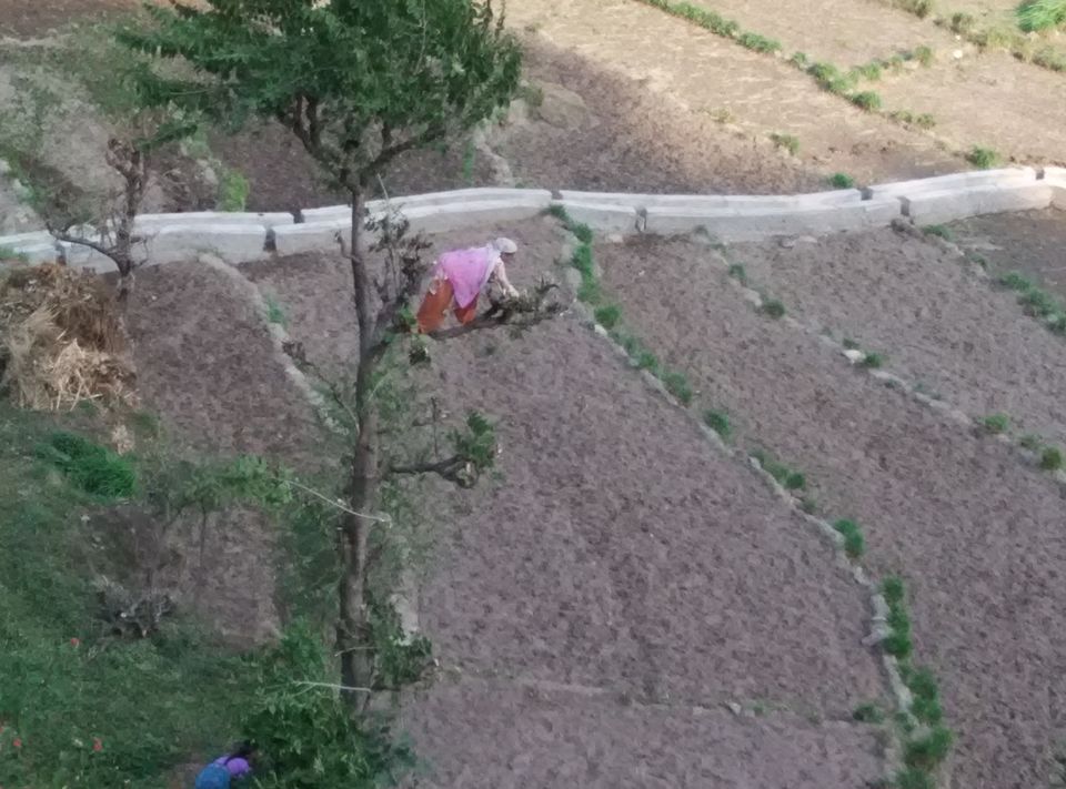 Photo of Visit to Camp Taapu Sera, Dehradun! 10/15 by Sandeep Raturi