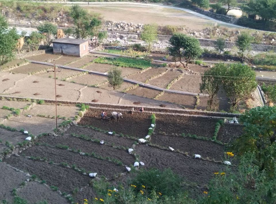 Photo of Visit to Camp Taapu Sera, Dehradun! 11/15 by Sandeep Raturi