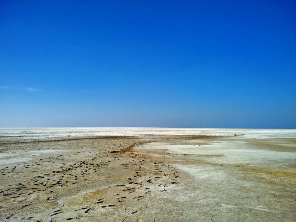 Photo of Kutch – A Pristine Cultural Paradise 49/86 by Vikas Singh