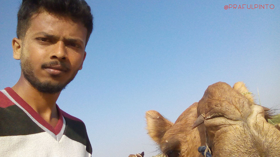 Photo of Travelling to the top – Bangalore to Himachal (by road) 26/31 by Praful Pinto