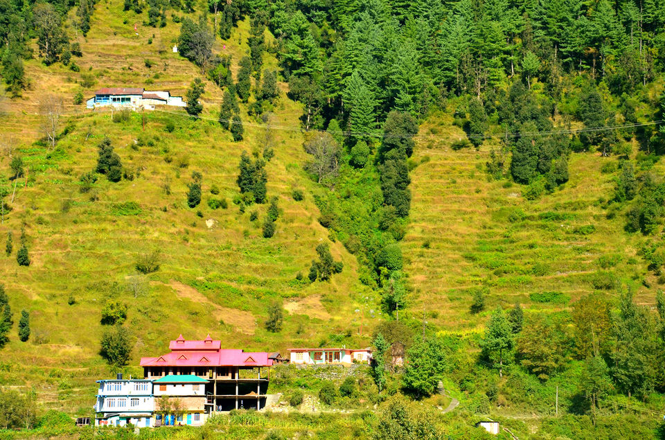 Photo of Barot – The Unexplored Valley in Himachal 30/40 by shilpi siwach