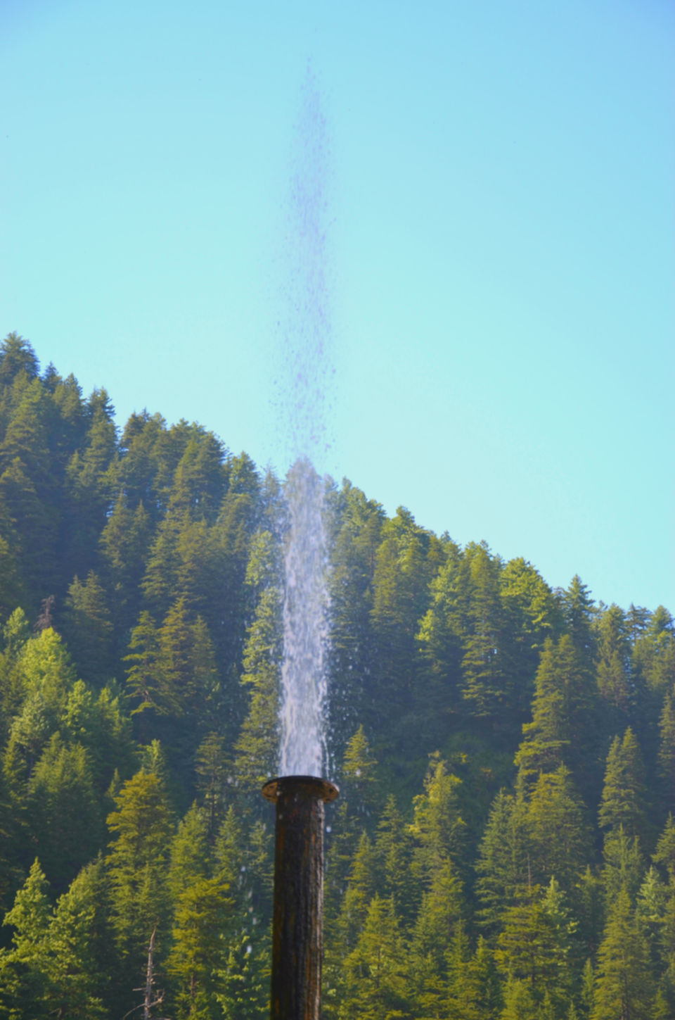 Photo of Barot – The Unexplored Valley in Himachal 39/40 by shilpi siwach