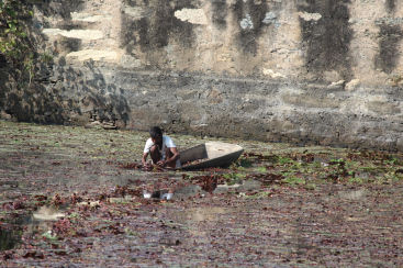 Photo of Deogarh -पधारो म्हारे देश 18/33 by Mohal Banker
