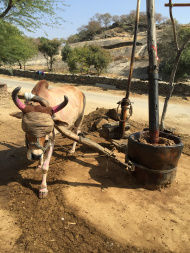 Photo of Deogarh -पधारो म्हारे देश 32/33 by Mohal Banker