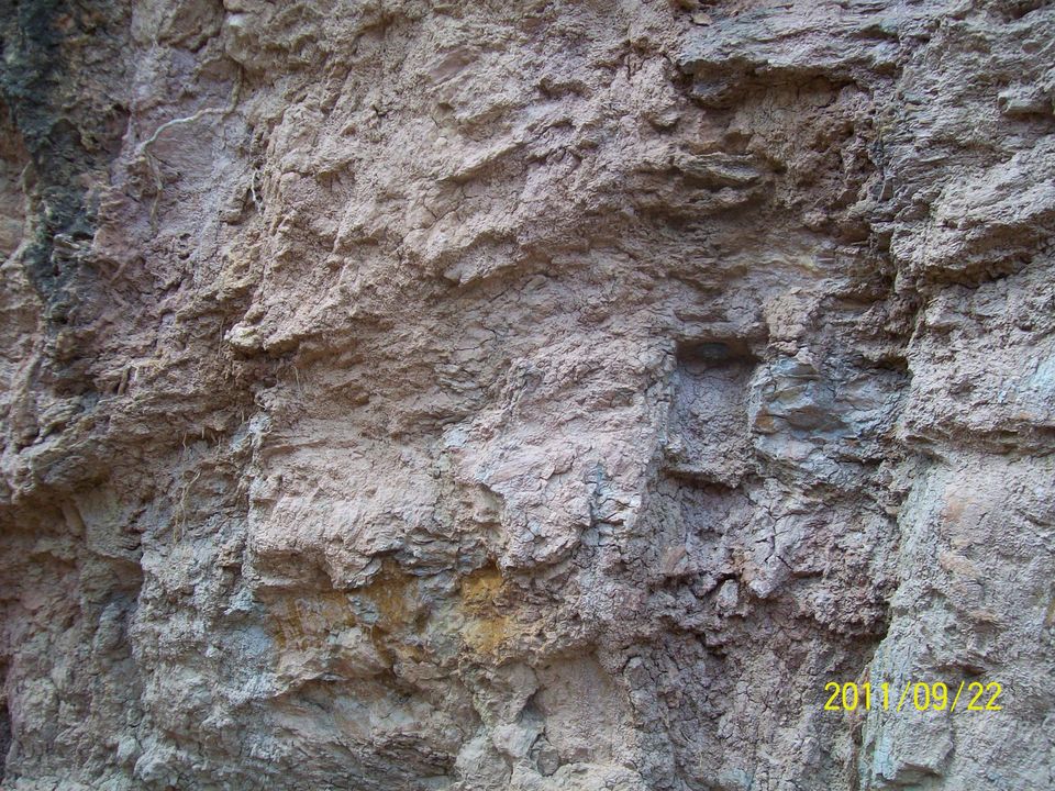 Photo of Haldighati Battle - Sacrifice of Chetak Horse 20/20 by Travellian.in