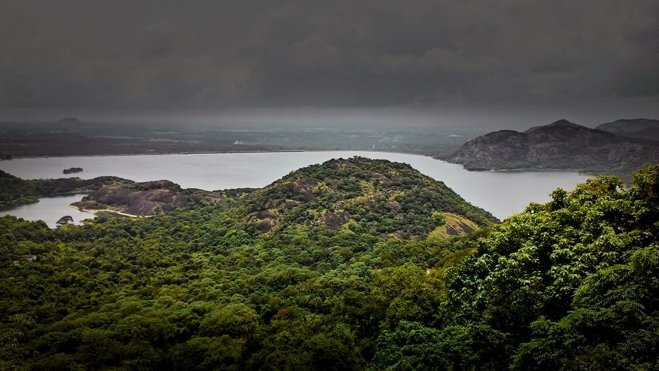 Photo of The Vacation Part 1: Tryst with Kerala 4/42 by Piyush Aggarwal