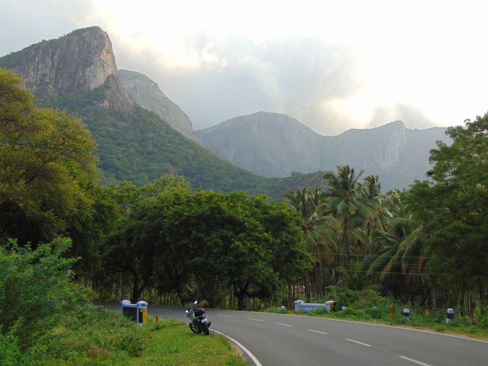 Photo of The Vacation Part 1: Tryst with Kerala 2/42 by Piyush Aggarwal