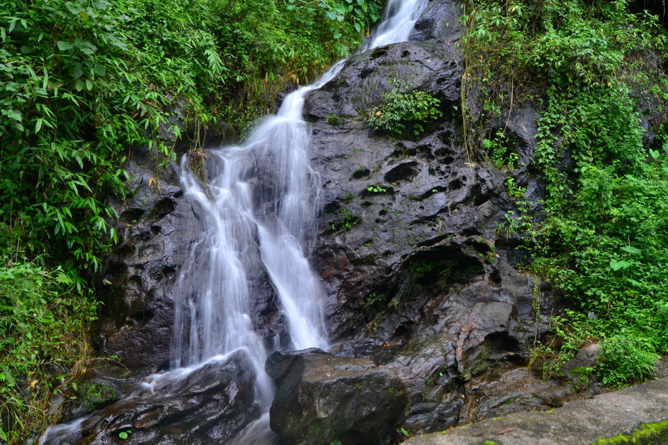 Photo of The Vacation Part 1: Tryst with Kerala 9/42 by Piyush Aggarwal