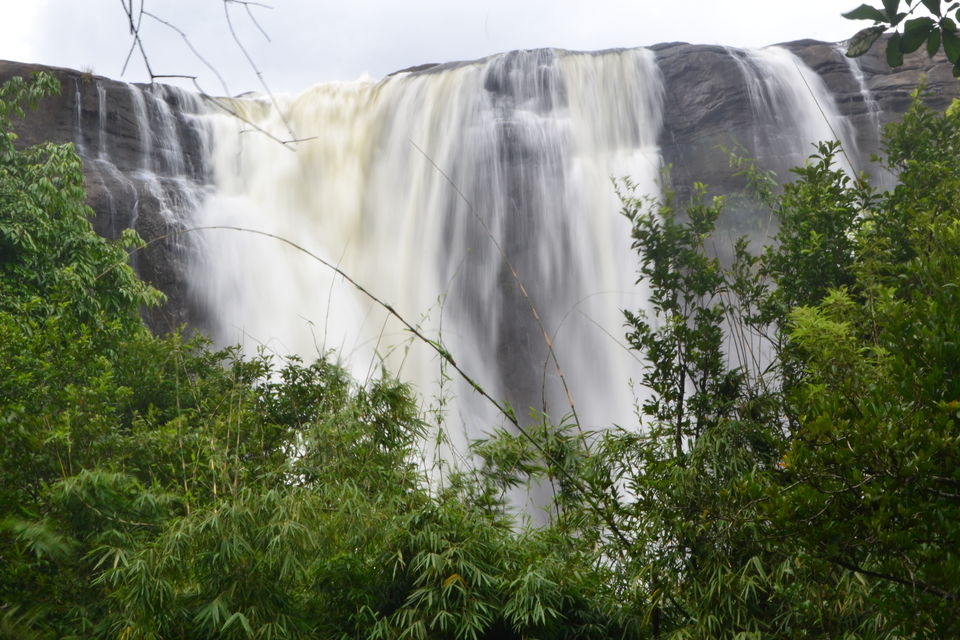 Photo of The Vacation Part 1: Tryst with Kerala 16/42 by Piyush Aggarwal
