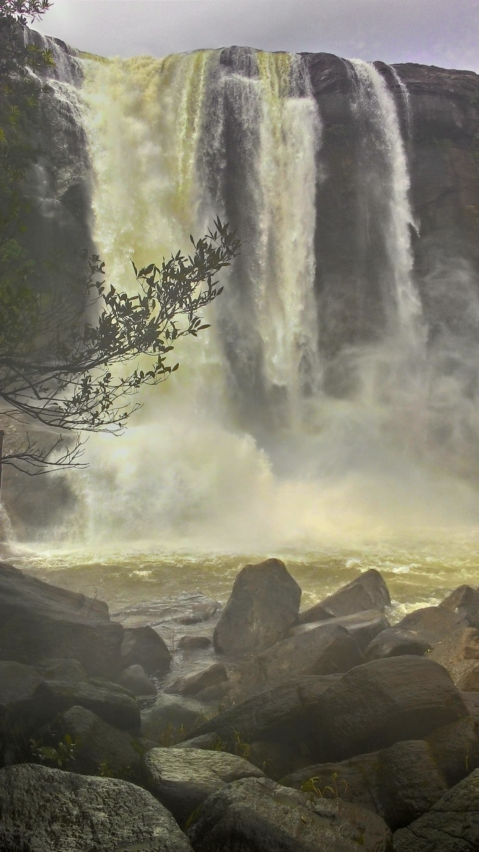 Photo of The Vacation Part 1: Tryst with Kerala 17/42 by Piyush Aggarwal