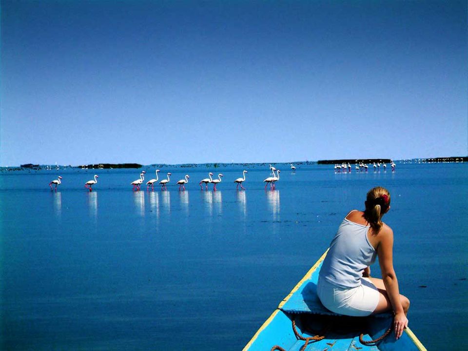 Photo of Its My ODISHA - The Soul of Incredible India 18/23 by Travellian.in