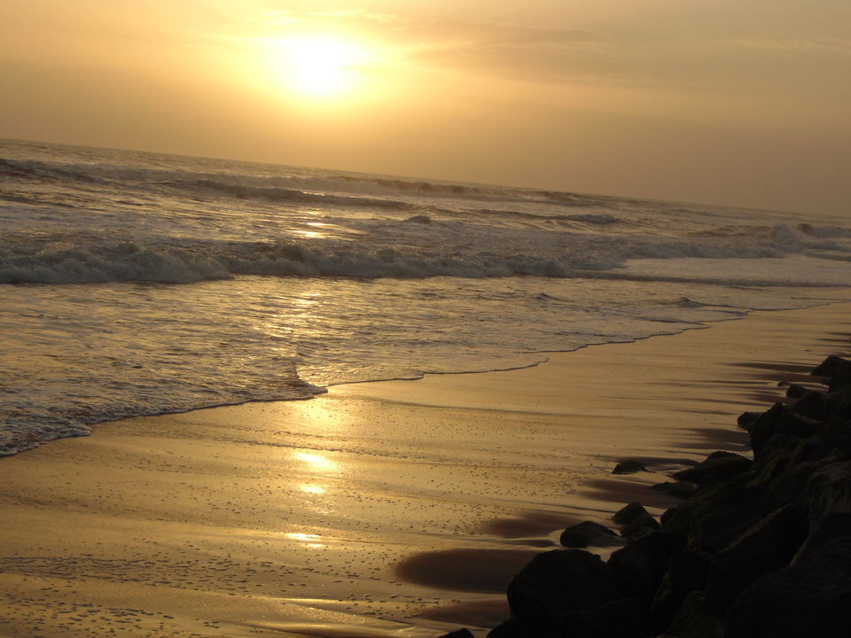 Photo of The Vacation Part 1: Tryst with Kerala 31/42 by Piyush Aggarwal