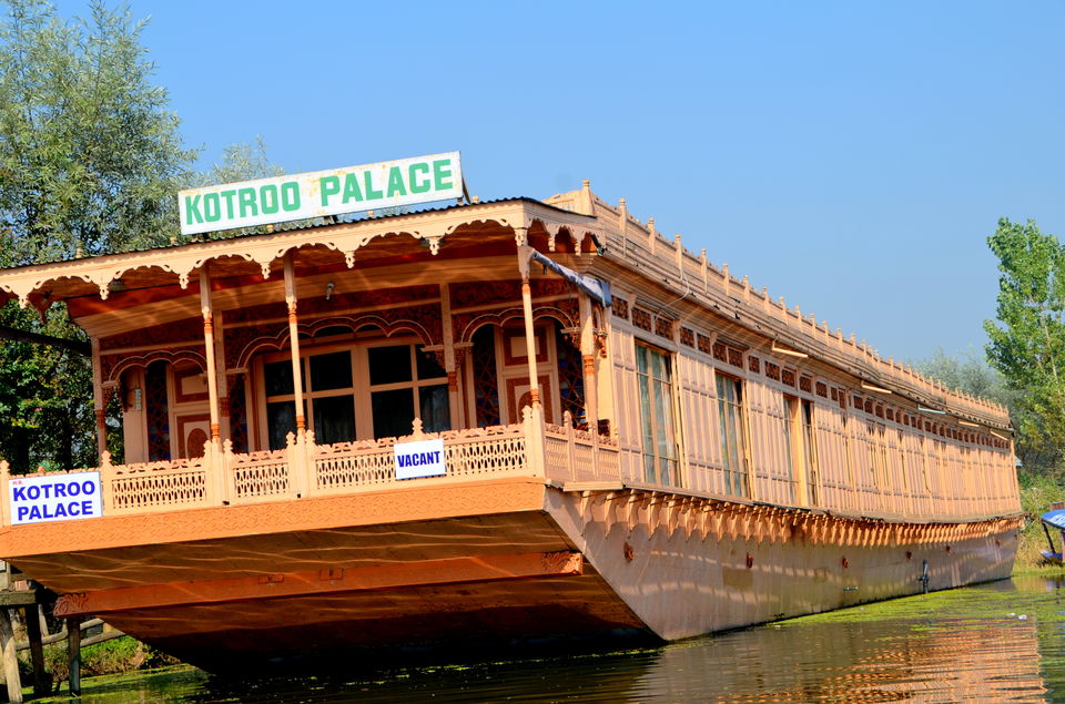 Photo of Trip to Srinagar, City of Lakes and Gardens 13/37 by Bobby