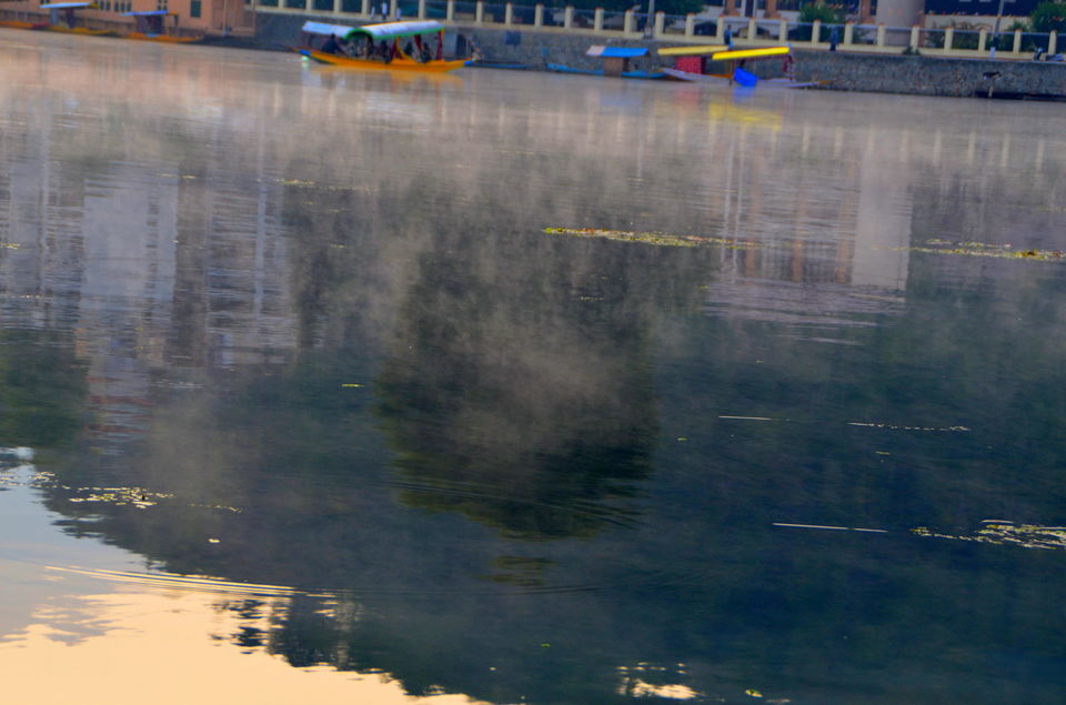 Photo of Trip to Srinagar, City of Lakes and Gardens 15/37 by Bobby