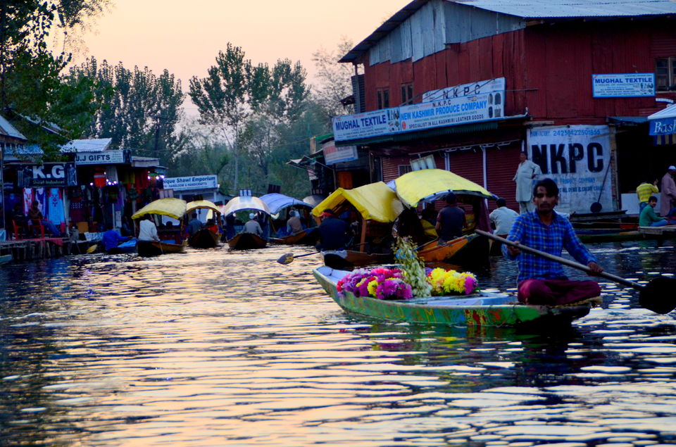 Photo of Trip to Srinagar, City of Lakes and Gardens 19/37 by Bobby