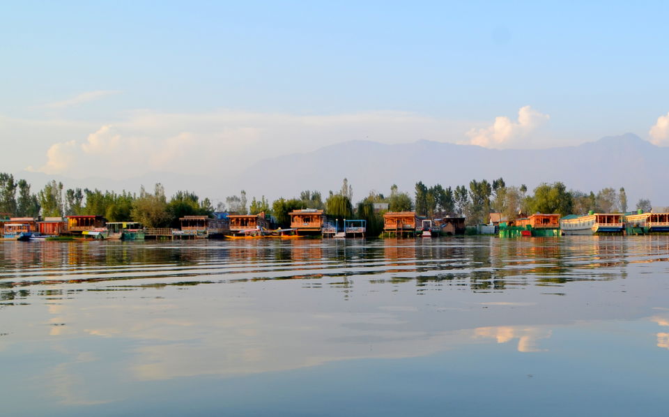 Photo of Trip to Srinagar, City of Lakes and Gardens 23/37 by Bobby