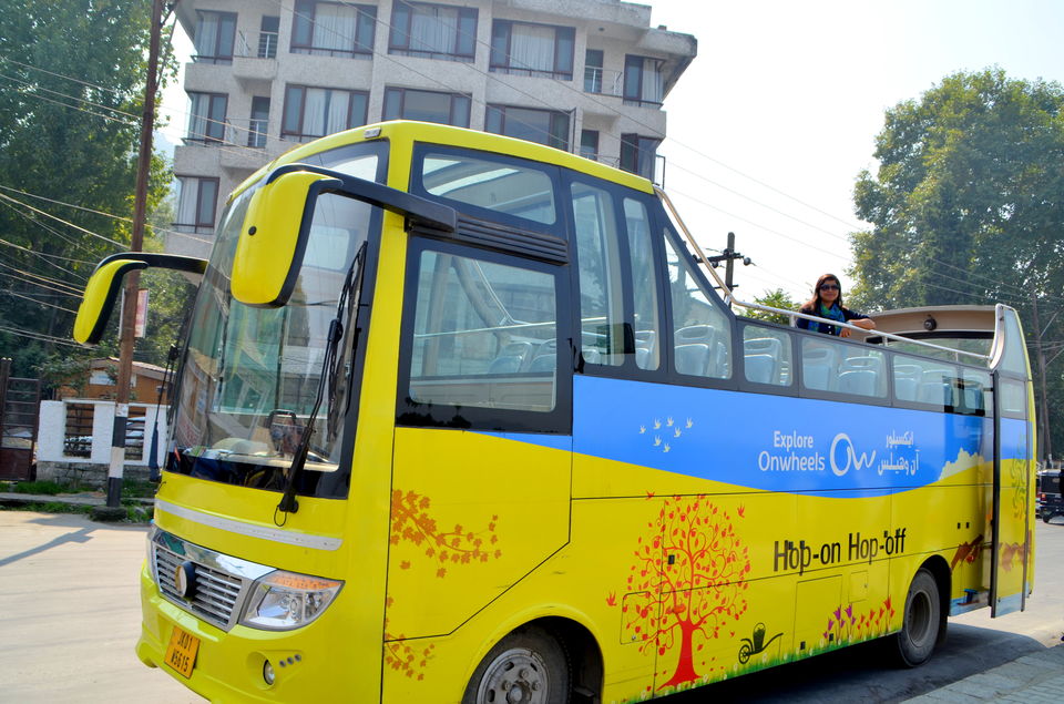 Photo of Trip to Srinagar, City of Lakes and Gardens 24/37 by Bobby