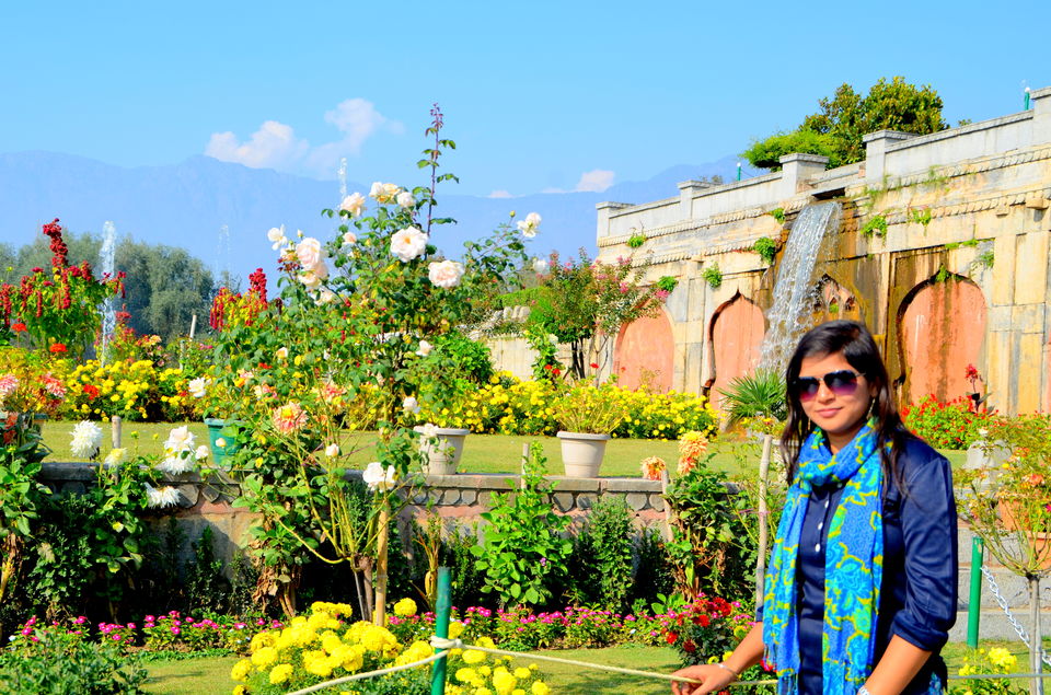 Photo of Trip to Srinagar, City of Lakes and Gardens 28/37 by Bobby