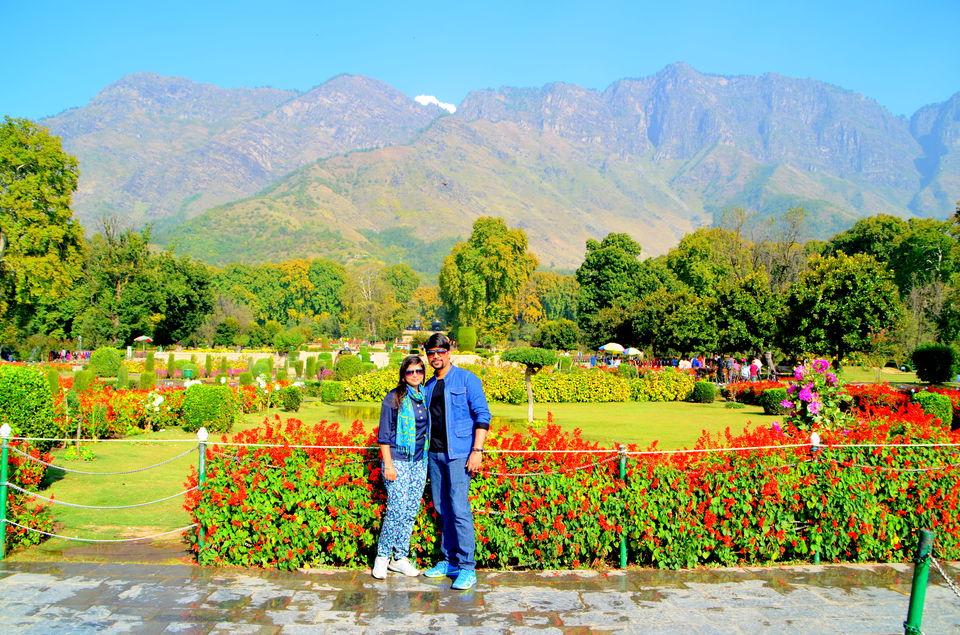 Photo of Trip to Srinagar, City of Lakes and Gardens 29/37 by Bobby