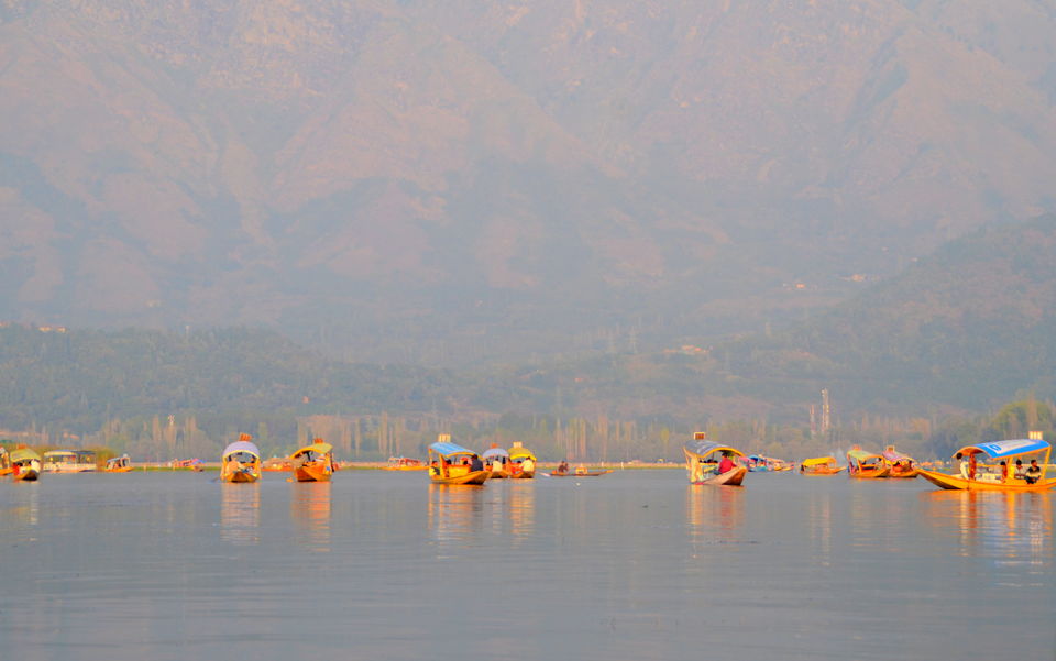 Photo of Trip to Srinagar, City of Lakes and Gardens 30/37 by Bobby